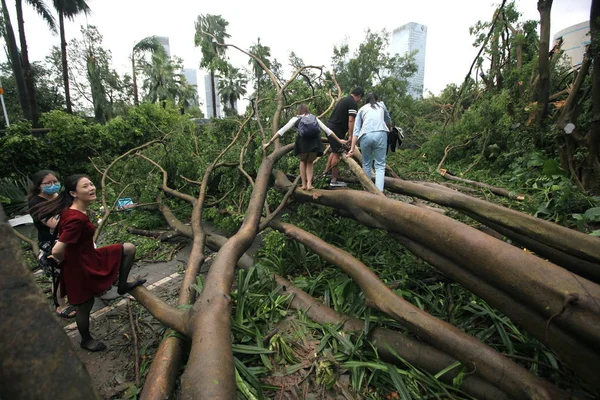 Los Peatones Caminan Través Árboles Desarraigados Por Fuerte Viento Causado —  Fotos de Stock