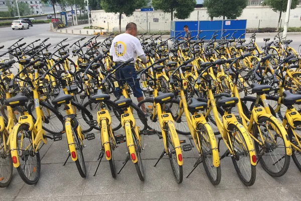 Travailleur Chinois Présente Des Vélos Service Chinois Partage Vélos Ofo — Photo