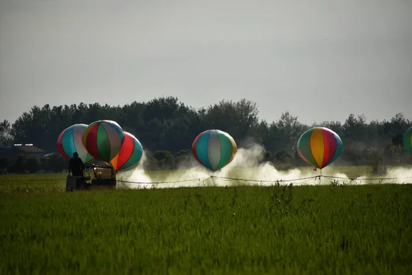 Kínai Mezőgazdasági Termelő Wang Shanjun Spray Peszticidek Növények Permetezőgépek Felfüggesztette — Stock Fotó