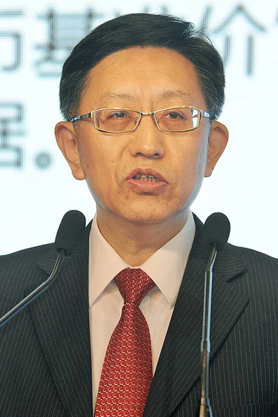 Song Xin Chairman China Gold Association Director China Gold Group — Stock Photo, Image