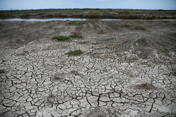 Vista Del Lecho Del Río Agrietado Quemado Por Las Olas —  Fotos de Stock