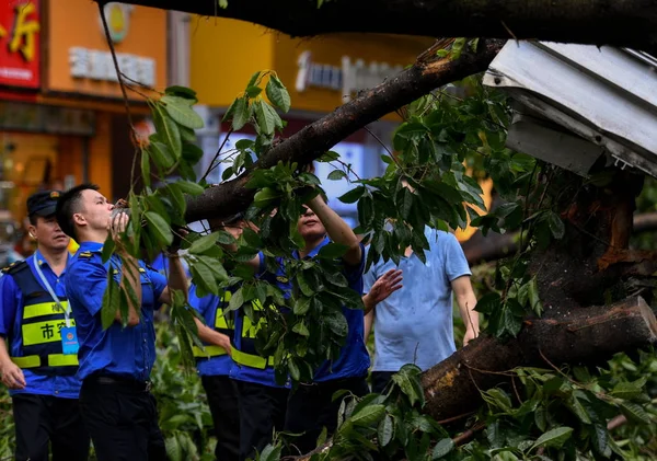 Trabajadores Chinos Retiran Ramas Árboles Rotas Por Fuerte Viento Causado —  Fotos de Stock