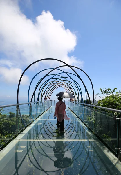 Туристические Прогулки 400 Метровой Стеклянной Небесной Дорожке Тропическом Парке Тропического — стоковое фото