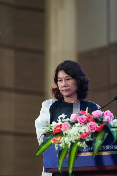 Dong Mingzhu Presidenta Presidenta Gree Electric Appliances Inc Pronunció Discurso —  Fotos de Stock