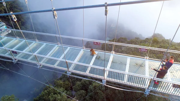 Guardas Segurança Ajudam Javali Selvagem Que Tem Medo Avançar Ponte — Fotografia de Stock