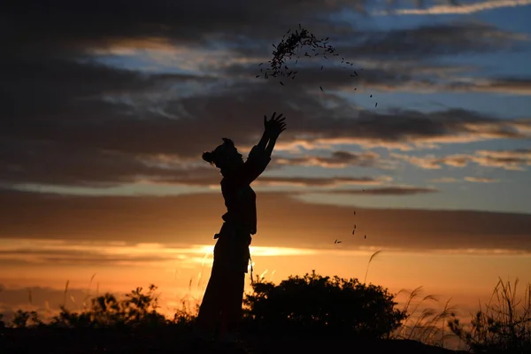 Chinese Farmers Use Eight Tons Freshly Harvested Peppers Corn Create — Stock Photo, Image