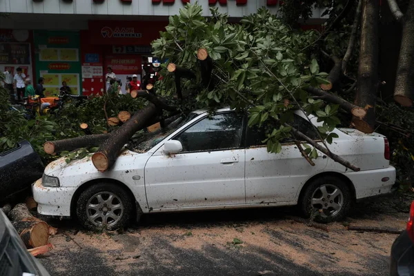 Automóvil Aplastado Por Árboles Desarraigados Por Fuerte Viento Causado Por — Foto de Stock