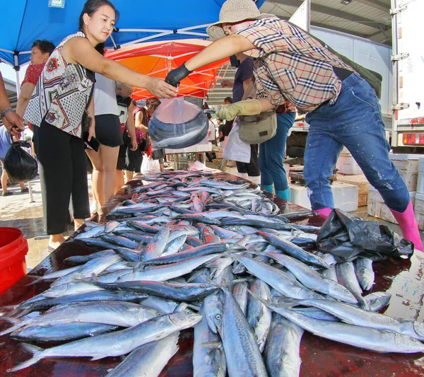 Los Residentes Locales Compran Mariscos Puerto Pesquero Dongkou Isla Zhifu — Foto de Stock