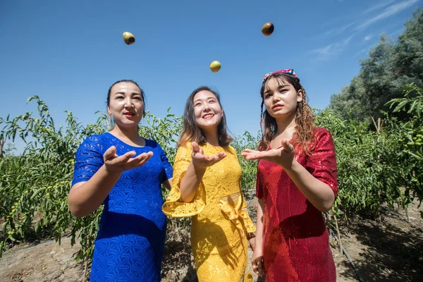 Три Уйгурские Девушки Позируют Фотографий Поддержку Зимних Урожаев Дзюдо Время — стоковое фото