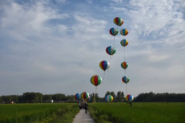 Agriculteur Chinois Wang Shanjun Pulvérise Des Pesticides Sur Les Cultures — Photo