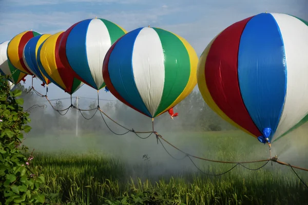 Chinese Farmer Wang Shanjun Sprays Pesticides Crops Sprayers Suspended Helium — Stock Photo, Image