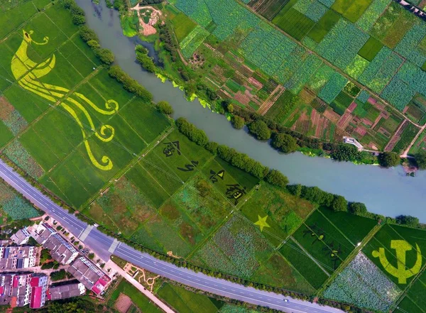 동쪽으로 중국의 2018에 다채로운 분야에서 디스플레이에 피닉스의 그림은 — 스톡 사진