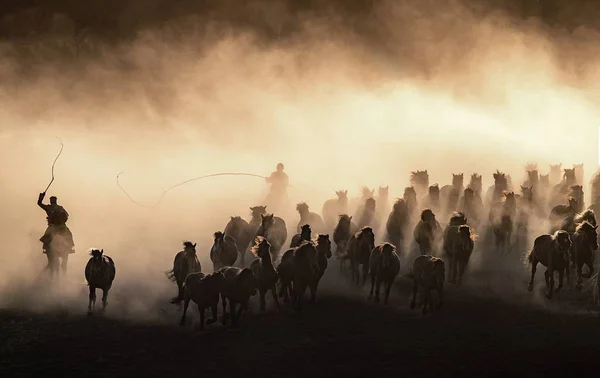 Kazakh Herdsman Grazes Flock Galloping Horses Grassland Hexigten Banner Chifeng — Stock Photo, Image