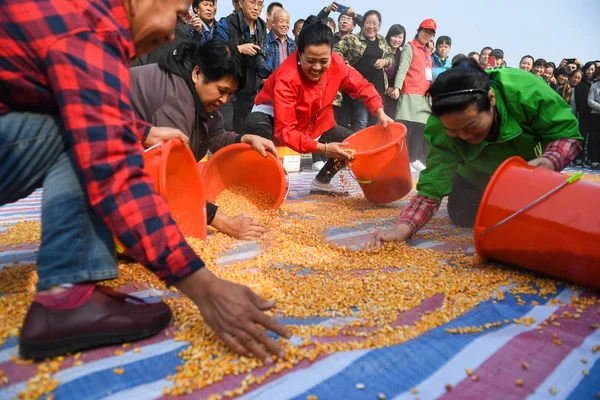 Agricultores Chineses Competem Competição Coleta Milho Durante Jogos Camponeses Condado — Fotografia de Stock