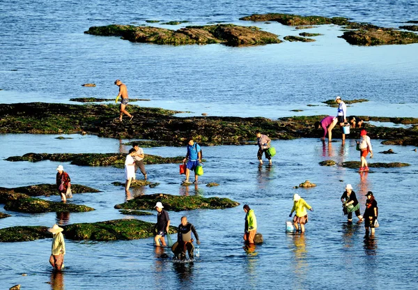 Turistas Residentes Locales Recogen Comida Mar Después Una Marea Baja — Foto de Stock