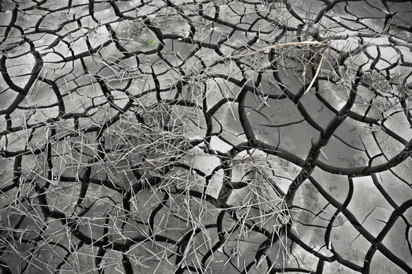 Veduta Del Letto Del Fiume Incrinato Bruciato Dalle Ondate Calore — Foto Stock