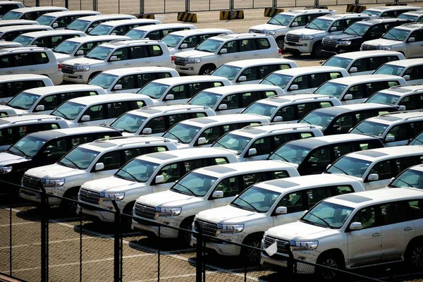 Los Coches Importados Están Alineados Muelle Puerto Qingdao Ciudad Qingdao — Foto de Stock