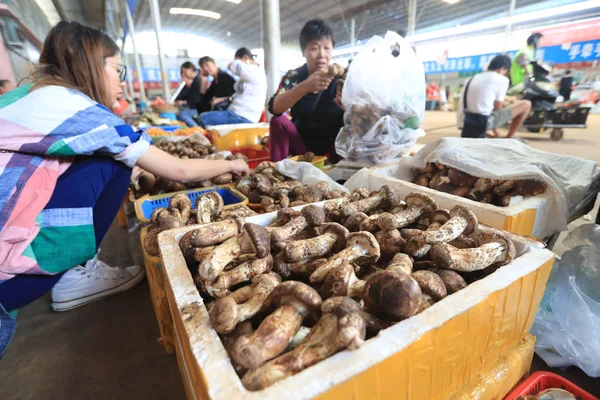 Funghi Songrong Sono Vendita Mushuihua Wild Fungus Wholesale Market Nella — Foto Stock