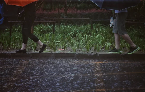 Pedestrians Brave Heavy Downpour Caused Typhoon Ampil Tenth Typhoon Year — Stock Photo, Image