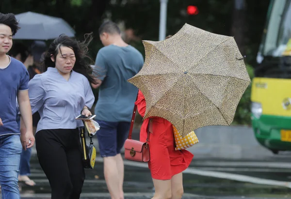 Gyalogos Árnyékolás Magát Egy Esernyő Braves Erős Szél Nehéz Zápor — Stock Fotó
