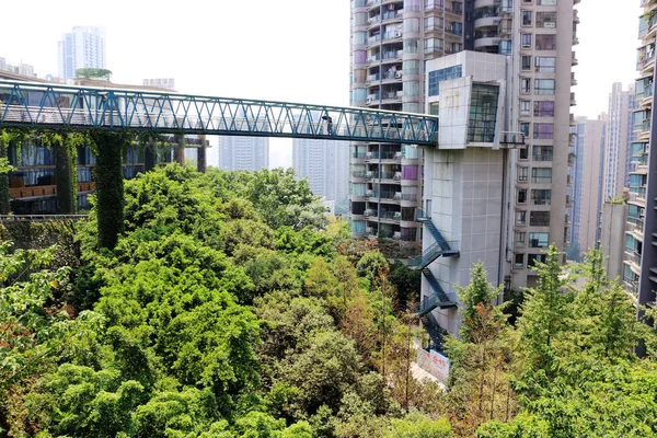 Weergave Van Een Meter Hoge 100 Meter Lange Loopbrug Opgehangen — Stockfoto