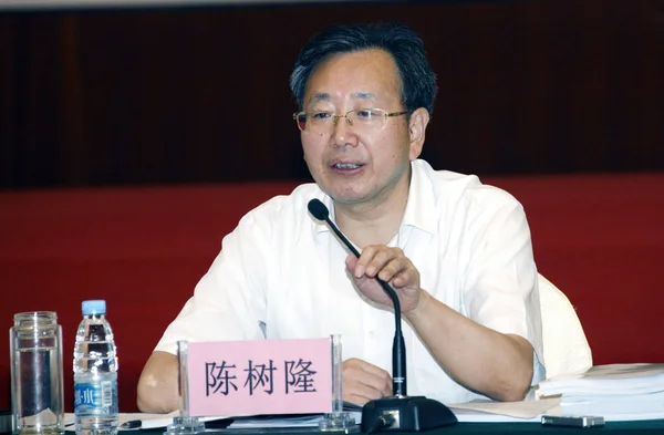 Chen Shulong Entonces Vicegobernador Provincia Anhui Habla Una Reunión Ciudad — Foto de Stock