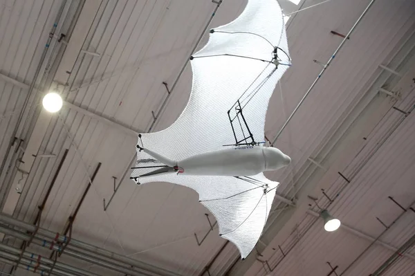 Realistic Flying Fox Bat Germanys Festo Display World Robot Conference — Stock Photo, Image