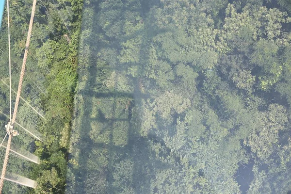 Vue Long Pont Suspendu Fond Verre Zhejiang Dans Comté Changxing — Photo