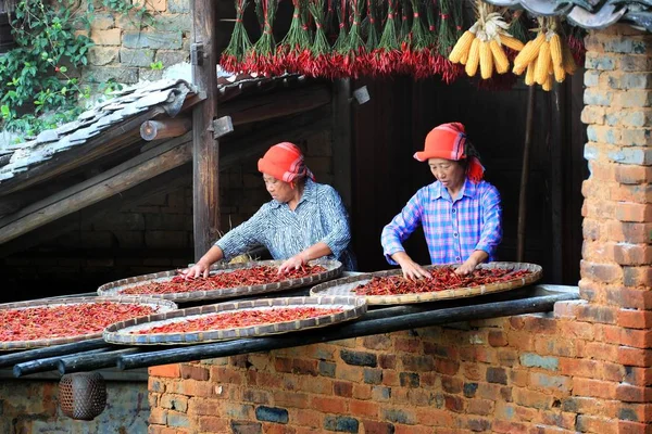 Chinesische Dorfbewohner Trocknen Paprika Mais Chrysanthemenblumen Und Andere Pflanzen Und — Stockfoto