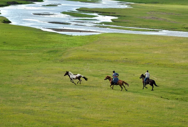 View Horses Hulun Buir Grassland North China Inner Mongolia Autonomous — стоковое фото