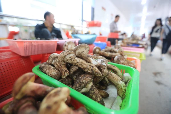Funghi Songrong Sono Vendita Mushuihua Wild Fungus Wholesale Market Nella — Foto Stock