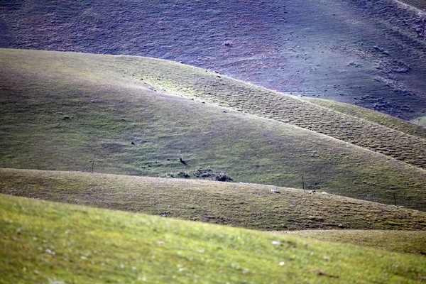 Paysage Prairie Kalajun Ressemblant Corps Humain Dans Comté Tekes Préfecture — Photo