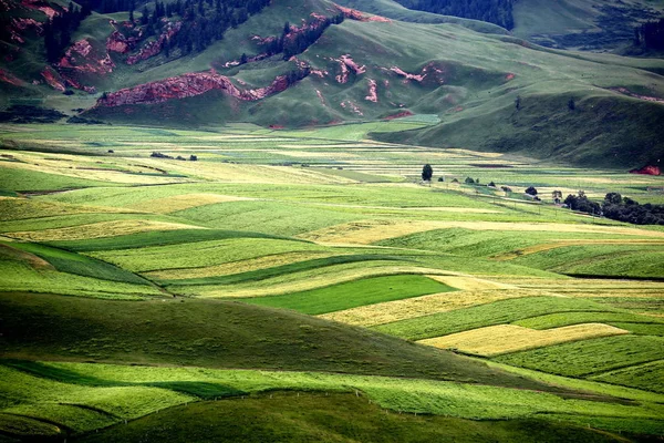 Krajina Vesnické Krajině Pohoří Zhuo Babao Okres Qilian Severozápadní Čínská — Stock fotografie