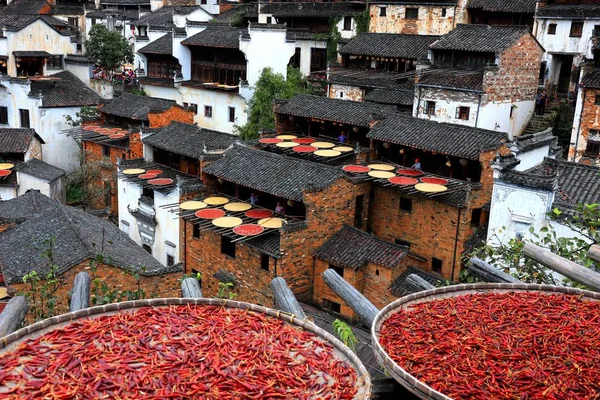Hot Peppers Corns Chrysanthemum Flowers Other Crops Harvests Dried Roofs — 图库照片