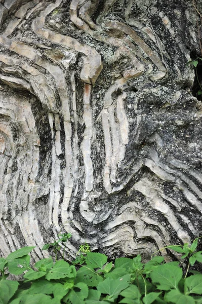 Vue Structure Stratigraphique Formation Rocheuse Grotte Qingxu Près 11E Golden — Photo