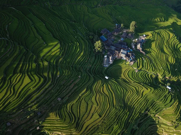 Vue Aérienne Des Rizières Terrasses Vertes Jiabang Dans Comté Congjiang — Photo