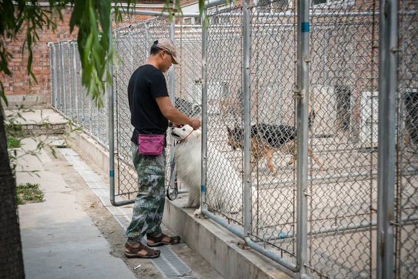 2018年7月5日 中国退伍军人潘云生在其位于北京的狗训练中心与宠物狗玩耍 — 图库照片
