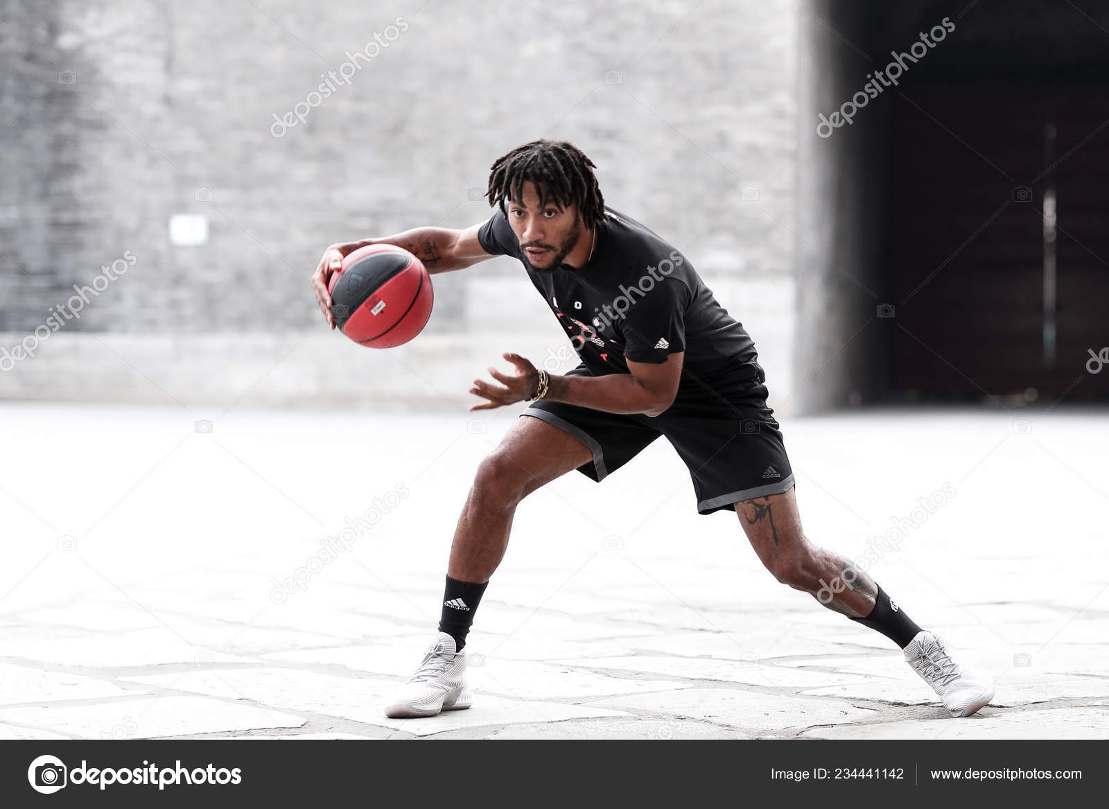 derrick rose minnesota