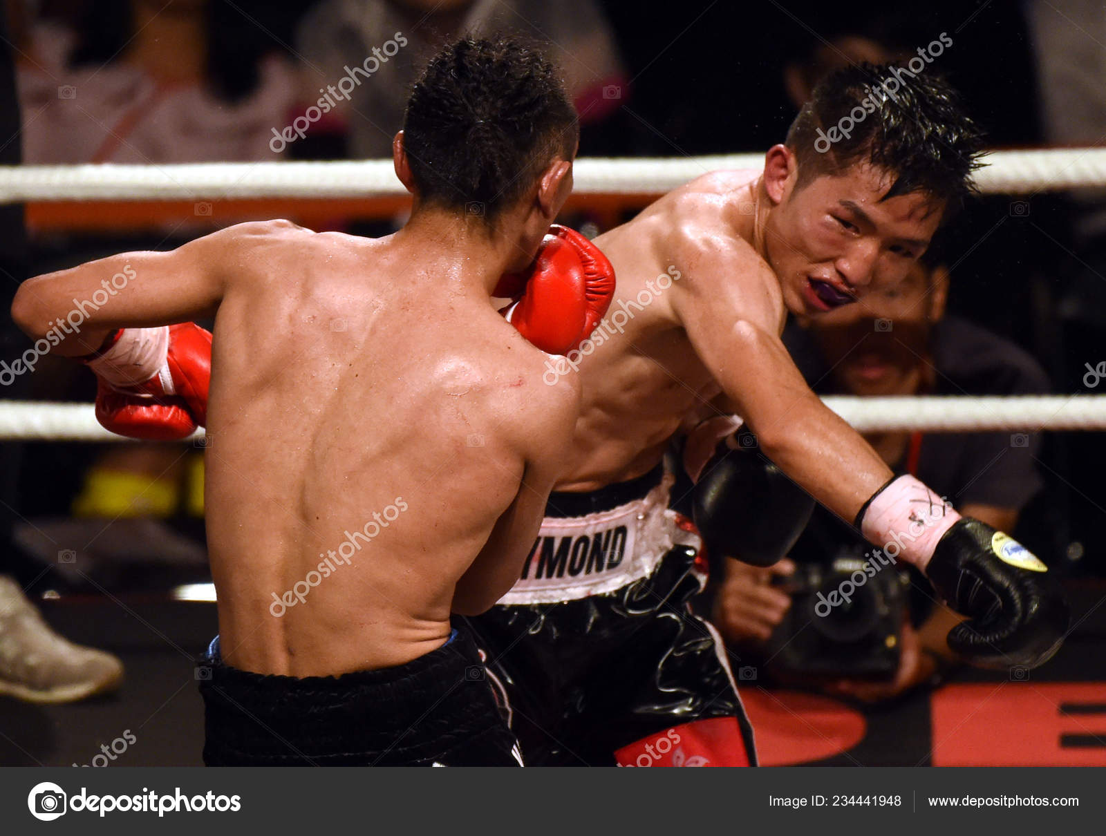 在中国香港举行的光荣之路拳击比赛中香港选手雷约纳拉祖卡与日本选手进行轻量级比赛—— 库存社论照片© IC Photo #