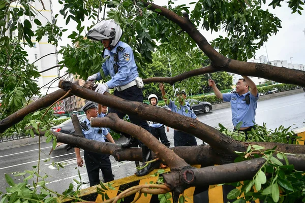 Oficiales Policía Chinos Limpian Árboles Arrancados Raíz Por Fuerte Viento — Foto de Stock