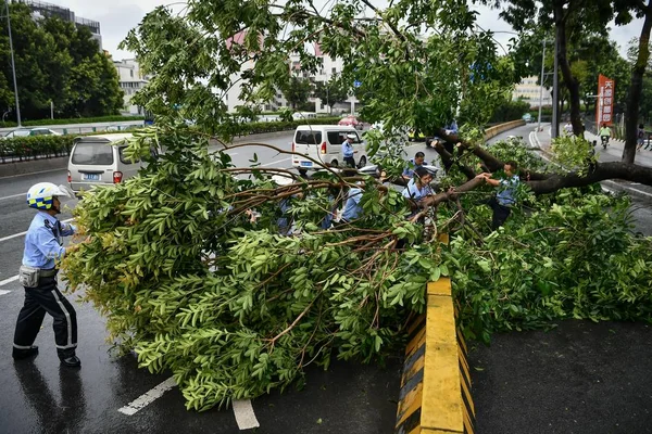 Oficiales Policía Chinos Limpian Árboles Arrancados Raíz Por Fuerte Viento —  Fotos de Stock