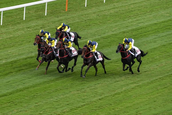 Vedere Hong Kong Jockey Club Conghua Racecourse Orașul Guangzhou Provincia — Fotografie, imagine de stoc