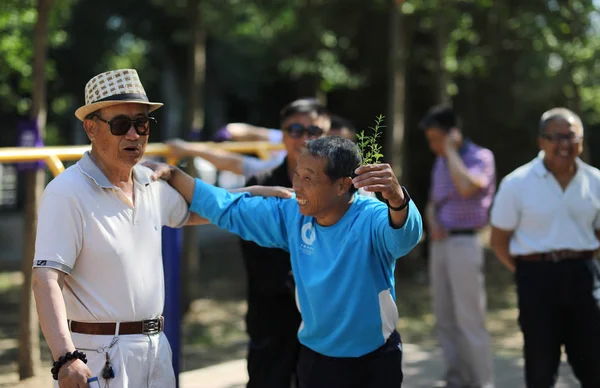 68岁的中国男子牛银民 2018年5月20日 在中国东北辽宁省沈阳市的一个公园里 他绑在横杆上 用双脚完成360度的旋转 与其他人交谈 — 图库照片