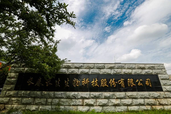 中国の吉林省 長春市に Changsheng バイオテクノロジー株式会社の見解 月2018 — ストック写真