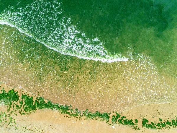 Flygfoto Över Havet Bevattnar Med Blågröna Alger Blommar Längs Stranden — Stockfoto