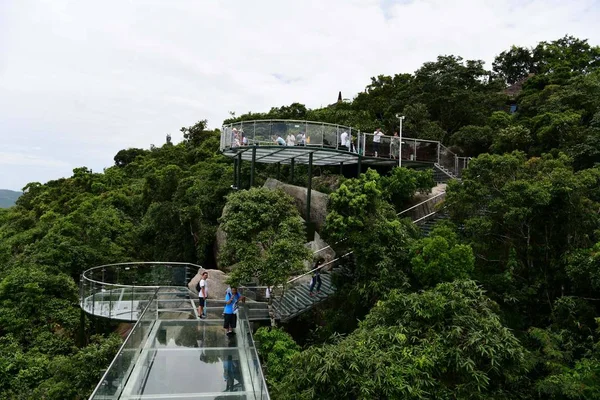 Los Turistas Caminan Por Una Pasarela Fondo Cristal Parque Forestal —  Fotos de Stock