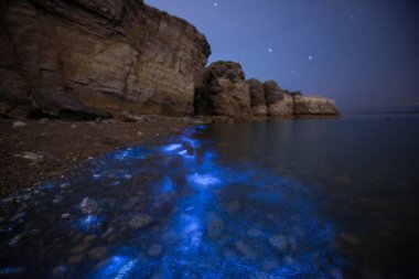 An algal bloom of dinoflagellate illuminates sea water glowing blue at the coast in Dalian city, northeast China's Liaoning province, 21 May 2018 clipart