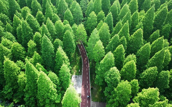 Légi Táj Huanghai National Forest Park Vagy Sárga Tengeri Nemzeti — Stock Fotó