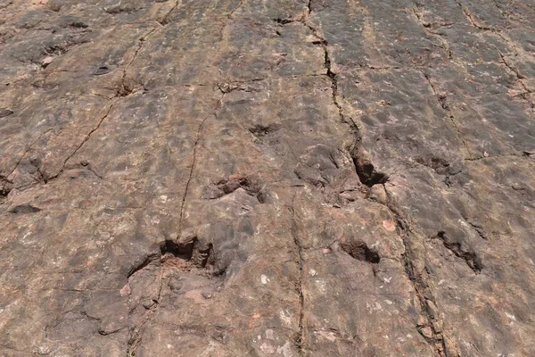 Vue Des Empreintes Dinosaures Fossilisées Laissées Par Groupe Dinosaures Lézards — Photo