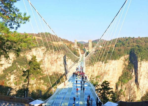 Turistas Caminham Ponte Vidro Zhangjiajie Grand Canyon Wulingyuan Scenic Historic — Fotografia de Stock